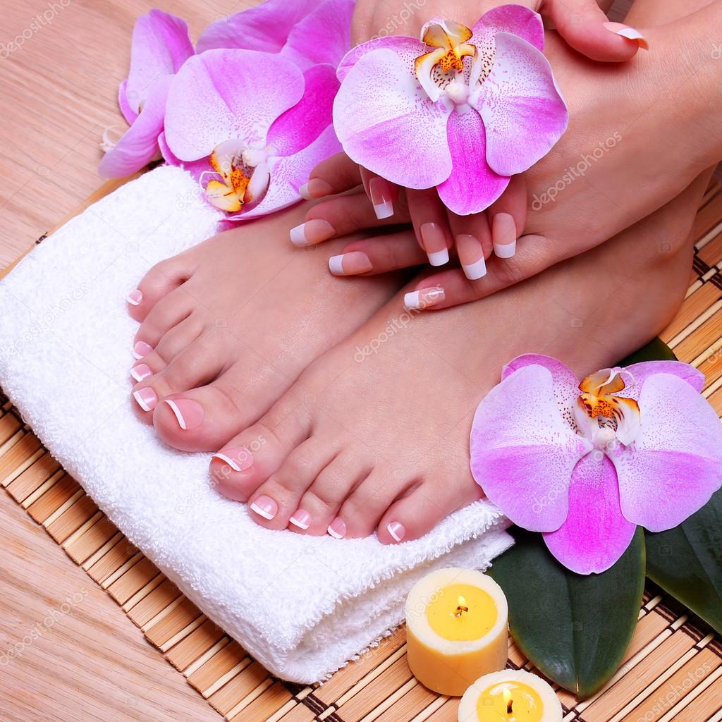 French Manicure on Beautiful Female Feet and Hands Stock Photo by ©Guzel  42936751